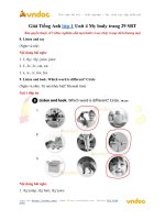 Giải Tiếng Anh lớp 1 Unit 4 My body trang 29 SBT