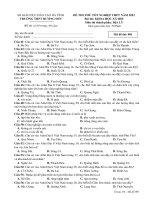 Đề thi thử THPT môn Địa lý Trường THPT Hương Sơn năm 2022