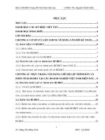 Luận văn tốt nghiệp bàn về bcđkt trong các dn việt nam hiện nay