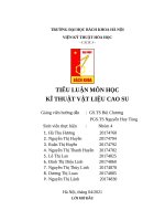Tiểu luận nr nbr blends – các ứng dụng liên quan đến thực phẩm