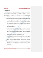Thủ thuật viết Essay