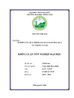 Luận văn thạc sĩ nghiên cứu quá trình sản xuất dấm hoa quả từ chuối và táo