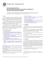 Astm b 921   08 (2013)