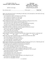 Đề cương lịch sử thpt số 10 (1)