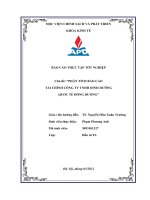 Báo cáo thực tập tốt nghiệp chủ đề phân tích báo cáo tài chính công ty tnhh dinh dưỡng quốc tế đông dương