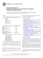 Astm c 911   06 (2011)