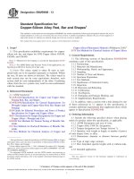 Astm b 98   b 98m   13