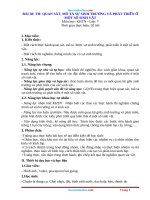 Giáo Án KHTN 7 Kết Nối Tri Thức Bài 38 Thực Hành Quan Sát Mô Tả Sự Sinh Trưởng Và Phát Triển Ở Một S...