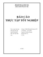 (Tiểu luận) báo cáo thực tập tốt nghiệp tên cơ quan thực tập  công ty tnhh phân phối synnex fpt