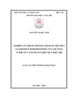 Toàn Văn Luận Án Nguyen Ngoc Anh.pdf