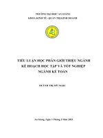 Tiểu luận học phần giới thiệu ngành kế hoạch học tập và tốt nghiệp ngành kế toán