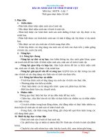 Giáo Án KHTN 7 Kết Nối Tri Thức Bài 39 Sinh Sản Vô Tính Ở Sinh Vật