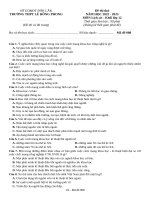 Đề cương lịch sử thpt số 16 (3)