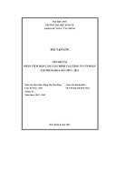 (Tiểu luận) đề tài phân tích báo cáo tài chính tại công ty cổ phần tập đoàn hoa sen 2019   2021
