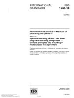 Tiêu chuẩn iso 01268 10 2005