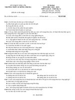 Đề cương lịch sử thpt số 18 (4)