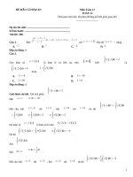 Đề mẫu toán lớp 12 có đáp án (73)