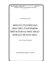 Khảo sát tỉ lệ rối loạn nhận thức ở người bệnh trên 60 tuổi sau phẫu thuật dưới gây mê toàn thân