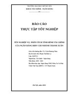 PHÂN TÍCH BÁO CÁO TÀI CHÍNH CỦA NGÂN HÀNG BIDV CN THANH XUÂN ĐẠI HỌC MỞ HÀ NỘI