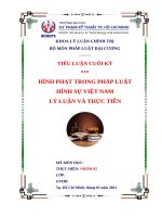 TIỂU LUẬN_HÌNH PHẠT TRONG PHÁP LUẬT HÌNH SỰ VIỆT NAM. LÝ LUẬN VÀ THỰC TIỄN