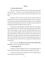 Tiểu luận cao học, xây dựng nền văn hóa lào tiên tiến đậm đà bản sắc dân tộc