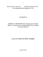 Luận Án Tiến Sĩ Nông Nghiệp Nghiên Cứu Bệnh Đốm Nâu (Alternaria Sp.) Gây Hại Trên Cây Chanh Leo Và Biện Pháp Quản Lý Bệnh Tại Tỉnh Nghệ An.pdf