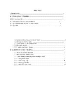 TIỂU LUẬN PHÂN TÍCH CHIẾN LƯỢC MARKETING 4P CHO SẢN PHẨM BITI’S HUNTER