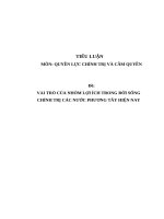 Tiểu luận cao học, vai trò của nhóm lợi ích trong đời sống chính trị các nước phương tây hiện nay