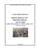 GIÁO TRÌNH MÔ ĐUN TRỒNG KHOAITAAY THƯƠNG PHẨM, MÃ SỐ: MĐ03 NGHỀ: NHÂN GIỐNG VÀ TRỒNG KHOAI TÂY; Trình độ: sơ cấp nghề