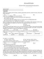 Đề ôn tập thtp hoá   đề 041