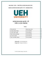 Tiểu luận nhóm kinh doanh quốc tế phương pháp thâm nhập thị trường của coca – cola