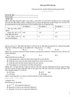 Đề ôn tập thtp hoá   đề 424