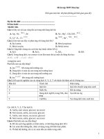 Đề ôn tập thtp hoá   đề 504