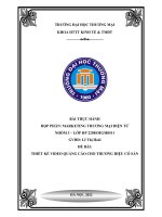 Bài thực hành họp phần marketing thương mại điện tử đề bài thiết kế video quảng cáo cho thương hiệu có sẵn