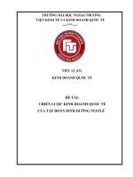 TIỂU LUẬN:  KINH DOANH QUỐC TẾ       ĐỀ TÀI:  CHIẾN LƯỢC KINH DOANH QUỐC TẾ  CỦA TẬP ĐOÀN DINH DƯỠNG NESTLÉ