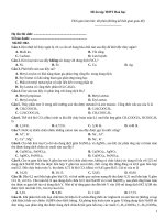 Đề ôn tập thtp hoá   đề 002