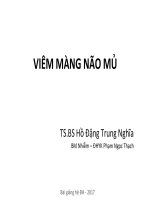 04  viêm màng não mủ ppt