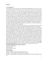 Chuyên đề thực tập  phát triển bền vững ở tỉnh lâm đồng