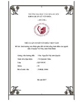 TIỂU LUẬN CƠ SỞ VĂN HÓA VIỆT NAM Ảnh hưởng của Phật giáo đối với đời sống tinh thần của người dân ở huyện Vũ Thư, tỉnh Thái Bình