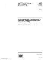 Tiêu chuẩn iso 15967 2007