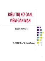 Đt xơ gan vgm 2017