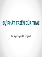 02  sự phát triển của thai