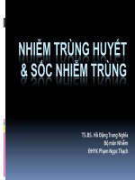03  nhiễm trùng huyết và sốc nhiễm trùng