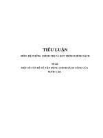 Tiểu luận hệ thống chính trị một số vấn đề về vận động chính sách công của nước lào