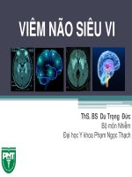 05  viem nao  y4 2017