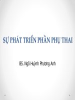 02  sự phát triển phần phụ thai