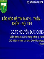 03  lão hoá hệ tim mạch, thận, khớp, nội tiết