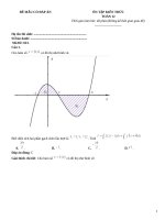 Luyện thi toán 12 có đáp án (222)