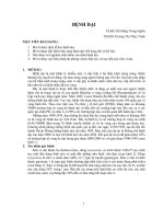 Bài tự học  dại