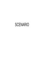 Scenario elec